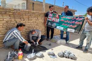 اتمام مرحله اول طرح جونده کشی در شهرستان ارسنجان