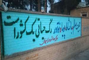 دیوار نویسی شعارهای جوانی جمعیت در شهرستان ارسنجان